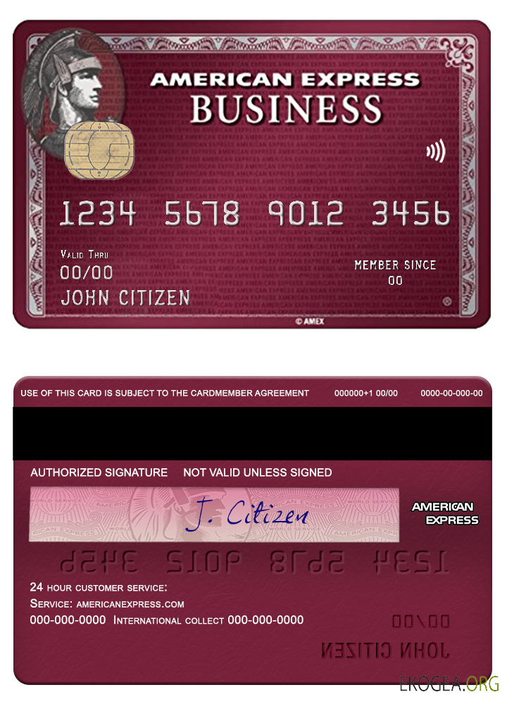 USA San Francisco CHIME Bank Amex Business Plum Card 1